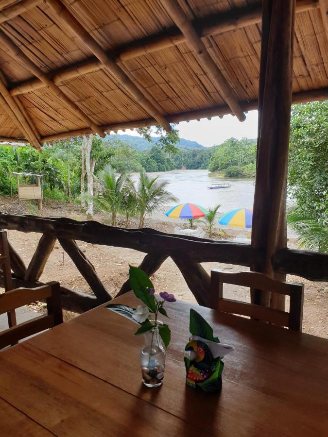Apartament Playa Tortuga Puerto Misahuallí Zewnętrze zdjęcie