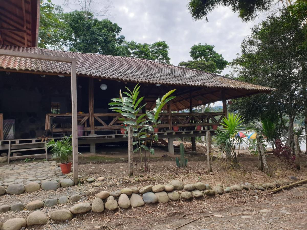 Apartament Playa Tortuga Puerto Misahuallí Zewnętrze zdjęcie