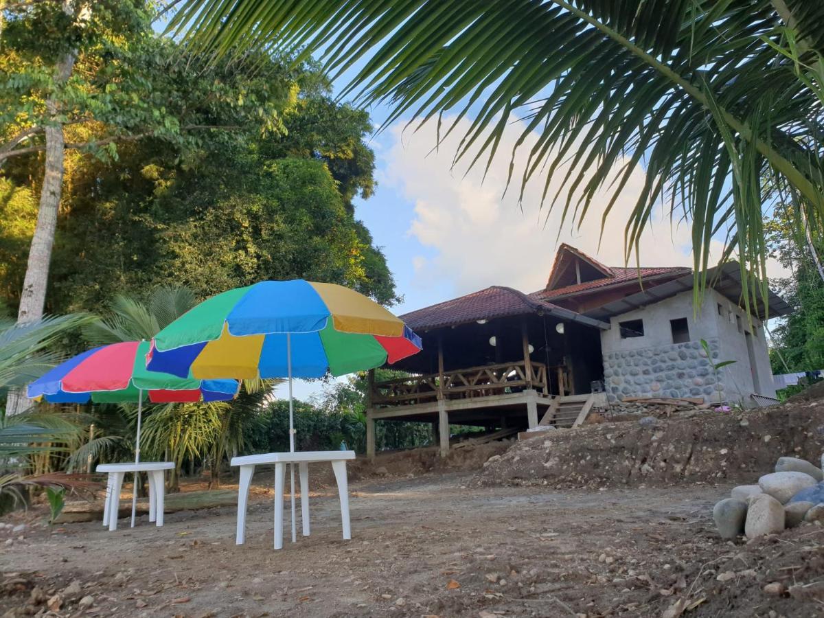 Apartament Playa Tortuga Puerto Misahuallí Zewnętrze zdjęcie