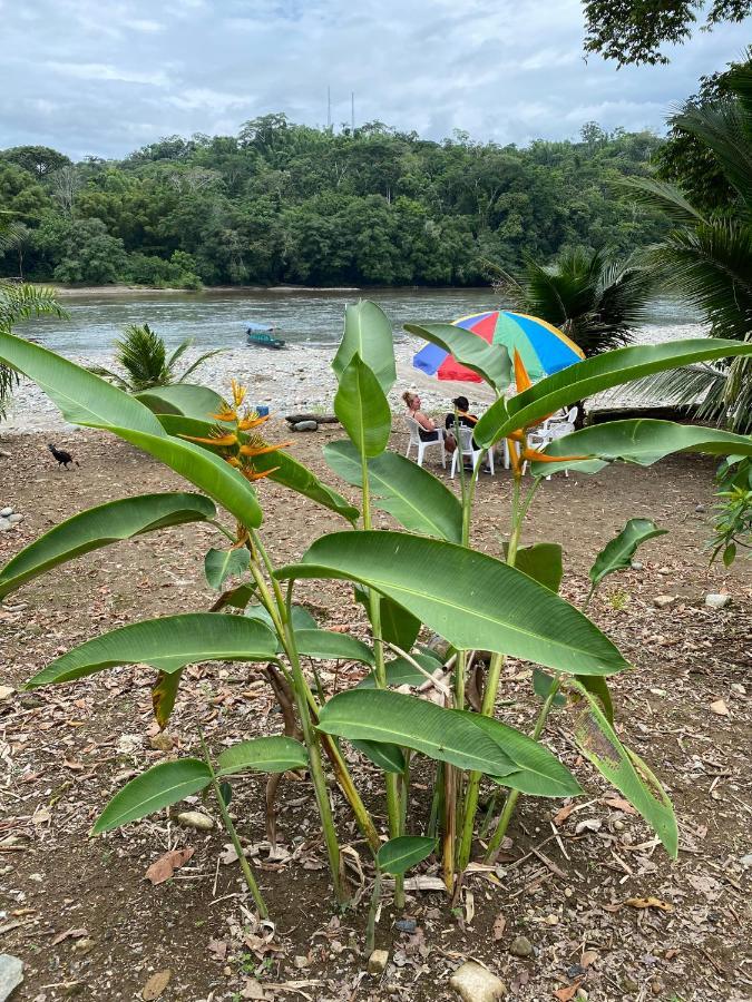 Apartament Playa Tortuga Puerto Misahuallí Zewnętrze zdjęcie