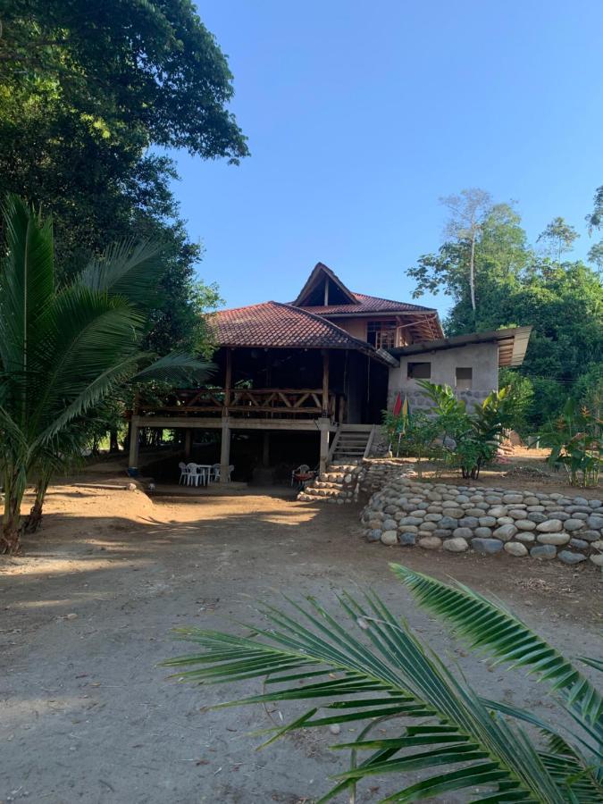 Apartament Playa Tortuga Puerto Misahuallí Zewnętrze zdjęcie